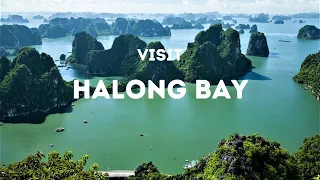 Halong Bay, Vietnam - Top 10 Things not to miss! - Travel Video #shorts #vietnam