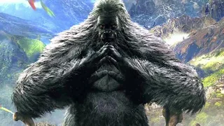 Sasquatch, what are they? Here’s what I think.