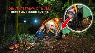 Sahur  Pertama Di Hutan Bersama Seekor Kucing