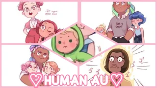 Human AU #1 {⭐Steven Universe ⭐} {⭐Sterocraft Universe⭐}