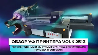 Обзор планшетного УФ принтера Volk 2513. Перспективный и быстрый гигант на 4 Ricoh Gen 5