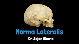 Norma lateralis