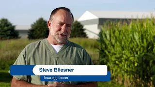 Egg Farming - a family business