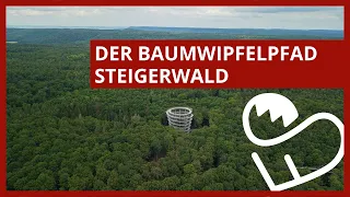 Der Baumwipfelpfad Steigerwald | FrankenSein
