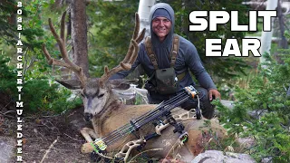 SPLIT EAR | 2022 HIGH COUNTRY MULE DEER HUNT