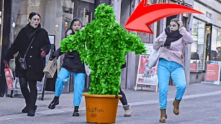 How Scare Prank Of bushman In Switzerland Got Everyone Screaming!! #bushmanprank