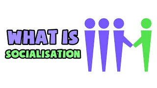 What is Socialisation | Explained in 2 min