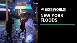 State of emergency for New York, New Jersey after record rainfall and flash floods | The World