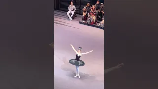 Swan Lake. The Bolshoi Theater.Большой театр. Лебединое озеро.