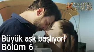 Büyük aşk başlıyor!  - Kanatsız Kuşlar 6. Bölüm