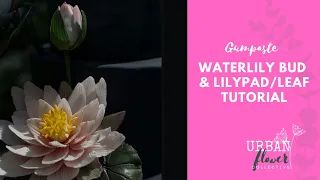 How to make a gumpaste / flower paste /sugar Waterlily leaf and bud - a step by step tutorial