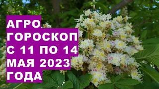 Агрогороскоп з 11 до 14 травня 2023 року. Агрогороскоп з 11 по 14 травня 2023 року