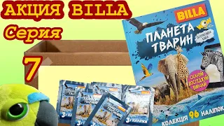 Обзор акции BILLA. 📗 Книга-альбом - Планета животных, серия 7 (Не Льорки)