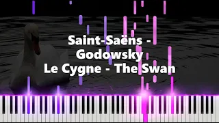 Saint-Saëns/Godowsky - "Le Cygne (The Swan)" - piano