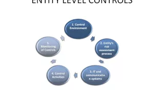 Topic 7 - Testing internal controls