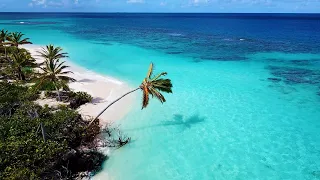 Palm Calm: 3 Hour of Tropical Beaches, Ocean Sounds & Island Drone Footage (4K Video)