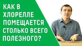 КАК В ХЛОРЕЛЛЕ ПОМЕЩАЕТСЯ СТОЛЬКО ВСЕГО ПОЛЕЗНОГО?