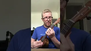 I see a Darkness - Ukulele Cover