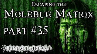 Grindset Stream Episode #35: Escaping the Moldbug Matrix 35