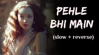 Pehle Bhi Main (Slowed + Reverb) | Vishal Mishra | Animal | SR Lofi