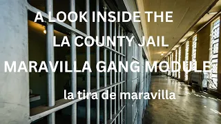 Maravilla Gang Module. Just a small part of the story.