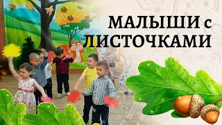 Танец малышей с листочками | Листики дубовые, листики кленовые