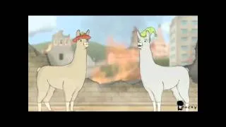 Lamas mit Hüten 3 Deutsch HD