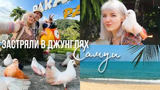 Самуи 🌵 Рум Тур Нашего бунгало / Радужные голуби в Paradise Park 🐦🐤 Пробили КОЛЕСО в Джунглях