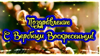 Вербное Воскресенье! Красивое поздравление с Вербным Воскресеньем!