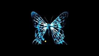 Эффект бабочки | Феномен, который изменяет твою жизнь | Документальный