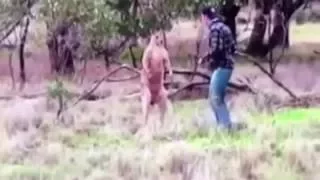 Парень ударил кенгуру