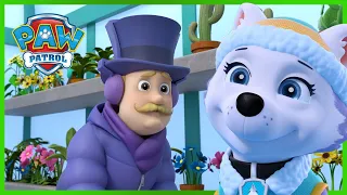Everest Saves Mayor Goodway in the Snow!❄️| PAW Patrol Rescue Episode | Cartoons for Kids