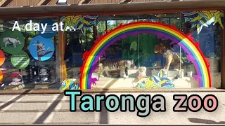 Taronga Zoo, Sydney Australia | Walking Tour