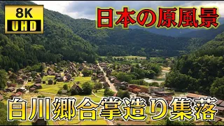 【世界遺産8K】白川郷合掌造り集落の散策｜walk around the Shirakawago Gassho-zukuri village（Japan,Gifu）