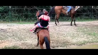 😃funny horse 🐎 riding memes 🤣