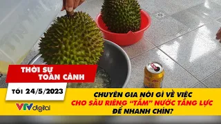 Thời sự toàn cảnh tối 24/5: CHUYÊN GIA NÓI GÌ VỀ VIỆC CHO SẦU RIÊNG TẮM NƯỚC TĂNG LỰC ĐỂ NHANH CHÍN?