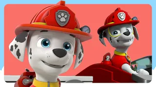 PAW Patrol 1 Hour of Marshall Rescues 🔥 | Spin Kids Cartoons | Cartoons for Kids