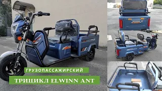 Грузопассажирский электро трицикл Elwinn Ant