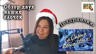 ОБЗОР двух наших ёлочек/ПОЗДРАВЛЯЮ со Старым новым годом!/СКАЗОЧНЫЙ ЛЕС