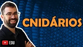 Cnidários ou Celenterados - Aula 09 - Módulo VI: Zoologia | Prof. Guilherme