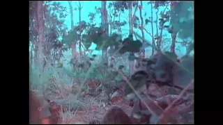 Lz Xray Combat Camera Footage (Part 1)