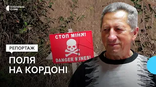 «Підтримки не отримуємо зовсім». Як працює фермер під обстрілами на кордоні з Росією