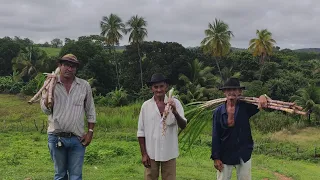 CONHECENDO O RIACHO DO ROSÁRIO COM JOÃO MARRECO E ZÉ DA CARROÇA EM LAVRAS DA MANGABEIRA CEARÁ.