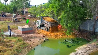 Start new Project!! Dozer D20P & 5T Trucks push rock soil into water to filling Ghostbusters