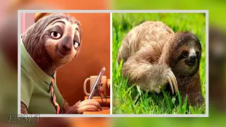 Zootopia Characters In Real Life