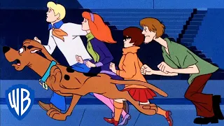 Scooby-Doo! | On The Run 💨 | @wbkids