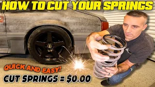 STOP BUYING LOWERING SPRINGS! / How To Cut Your Stock Springs / Quick And Easy