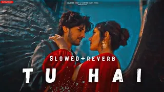 Tu Hai | Official Music (slowed+reverb) | Darshan Raval | Neha Sharma | Prakriti Giri | Naushad Khan