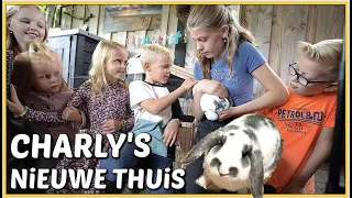 AFSCHEiD NEMEN VAN ONS KONiJNTJE CHARLY, HiJ HEEFT EEN NiEUW THUiS 🐰 | Bellinga Vlog #2580