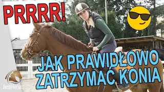 Jak prawidłowo zatrzymać konia